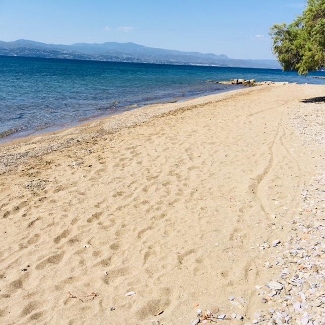 Villa Vlichos Amarynthos Esterno foto